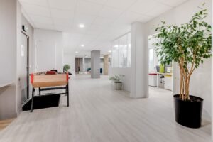 Couloir de bureau moderne avec un sol en bois clair, une plante en pot, un baby-foot et des portes ouvertes menant à des espaces de travail avec des bureaux et des chaises.