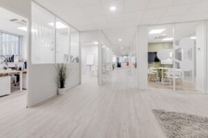 Intérieur de bureau moderne avec des salles de réunion vitrées, des espaces de travail sur la gauche, une plante le long du mur, un sol en bois clair et un éclairage zénithal lumineux.