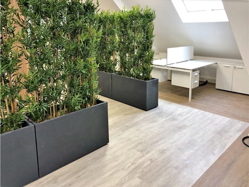Espace de bureau moderne avec des bureaux blancs, séparés par de grandes jardinières contenant de grandes plantes vertes, et un sol en bois sous la lumière naturelle d'un puits de lumière.