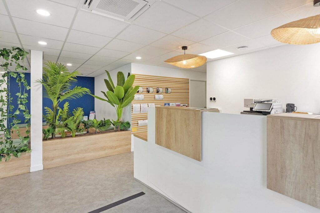 Espace d'accueil moderne comprenant un bureau en bois, des plantes d'intérieur, un présentoir de brochures et un éclairage lumineux sur des murs et un plafond blancs.
