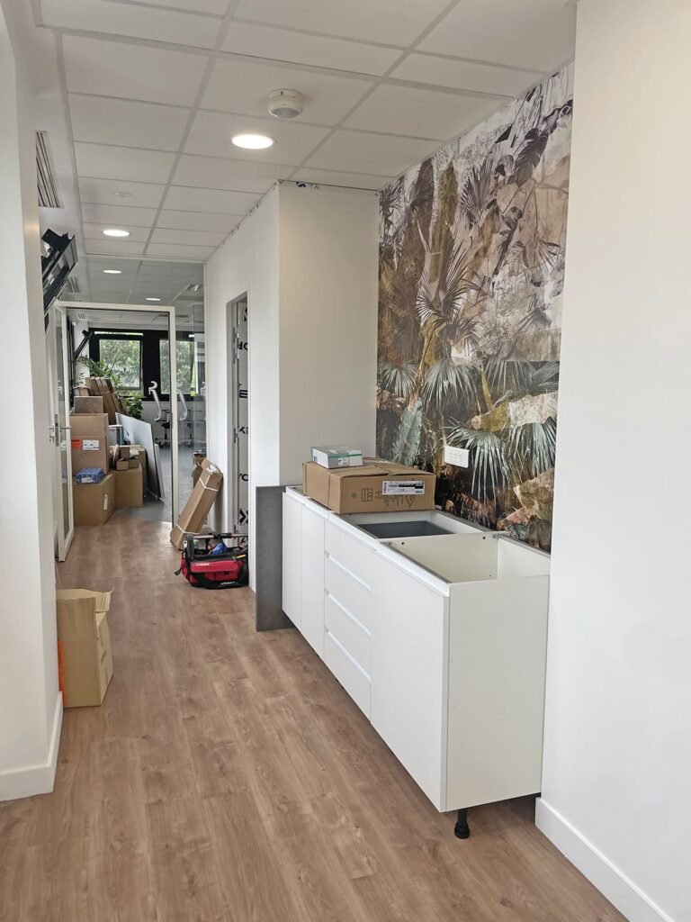 Un couloir avec un sol en bois clair, des murs blancs, une peinture murale avec des plantes tropicales, des cartons déballés et une armoire blanche partiellement assemblée.