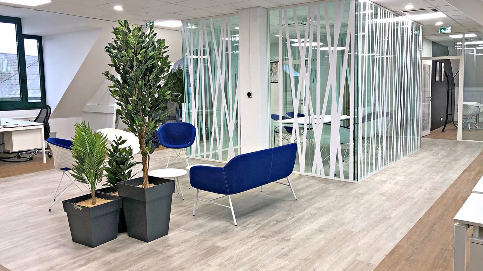 Espace de bureau moderne avec salle de réunion vitrée, sièges bleus et blancs, plantes d'intérieur, sol en bois et lumière naturelle grâce à de grandes fenêtres.